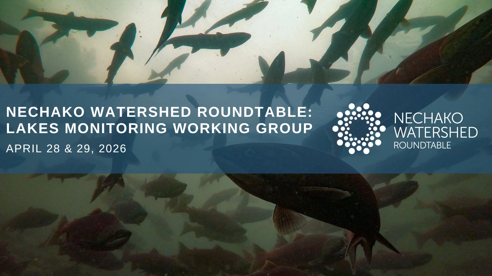 Lakes Monitoring Working Group Workshop